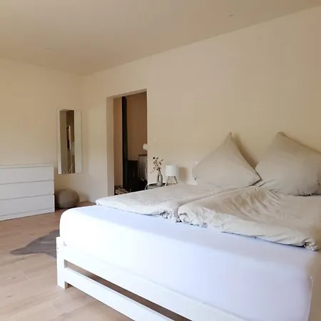 Apartamento Weinberg Und Kamin - An Der Mosel